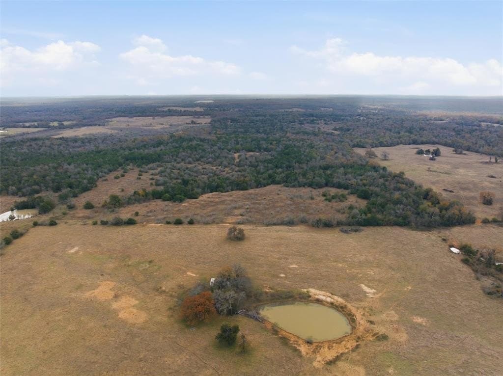 60.64 acres in Limestone County featured view