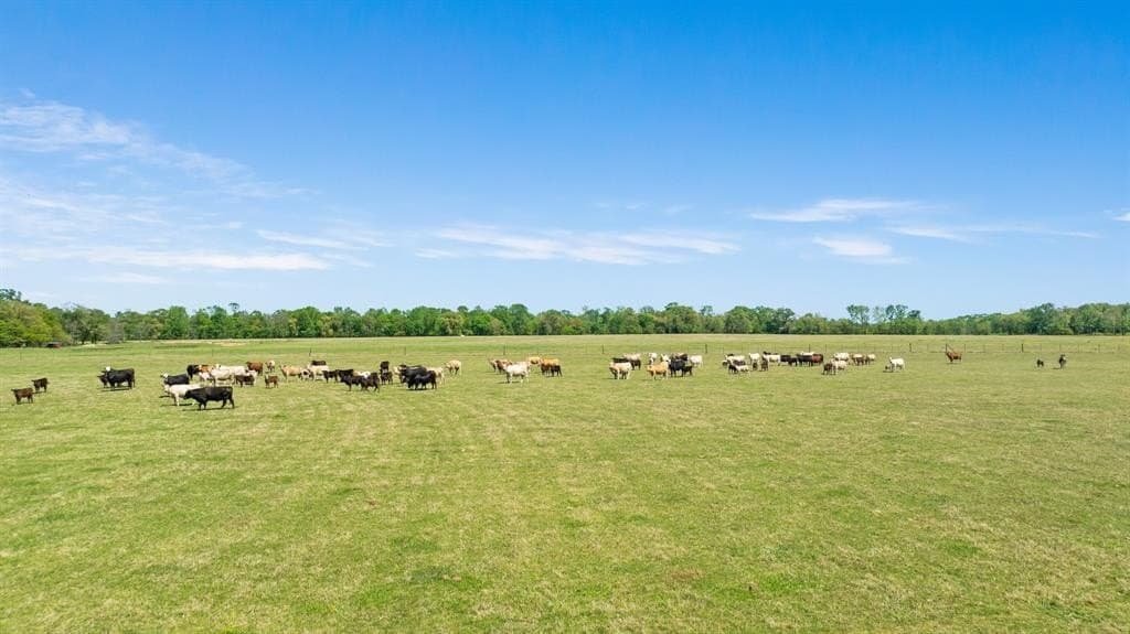 235 acres in Red River (TX) County gallery image 4