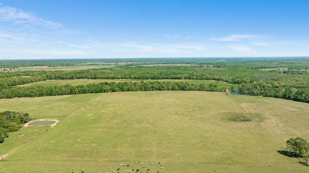 235 acres in Red River (TX) County gallery image 2