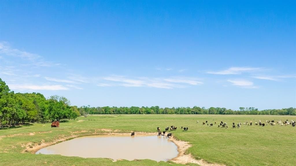 235 acres in Red River (TX) County gallery image 3