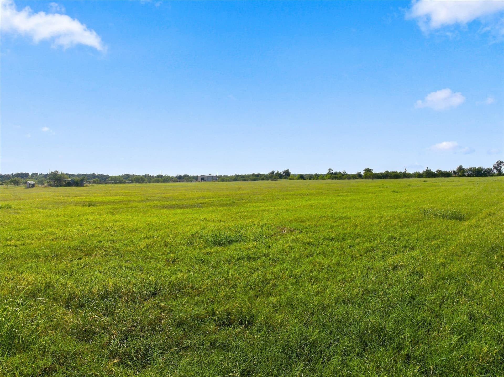 20 acres in Falls County - photo 30