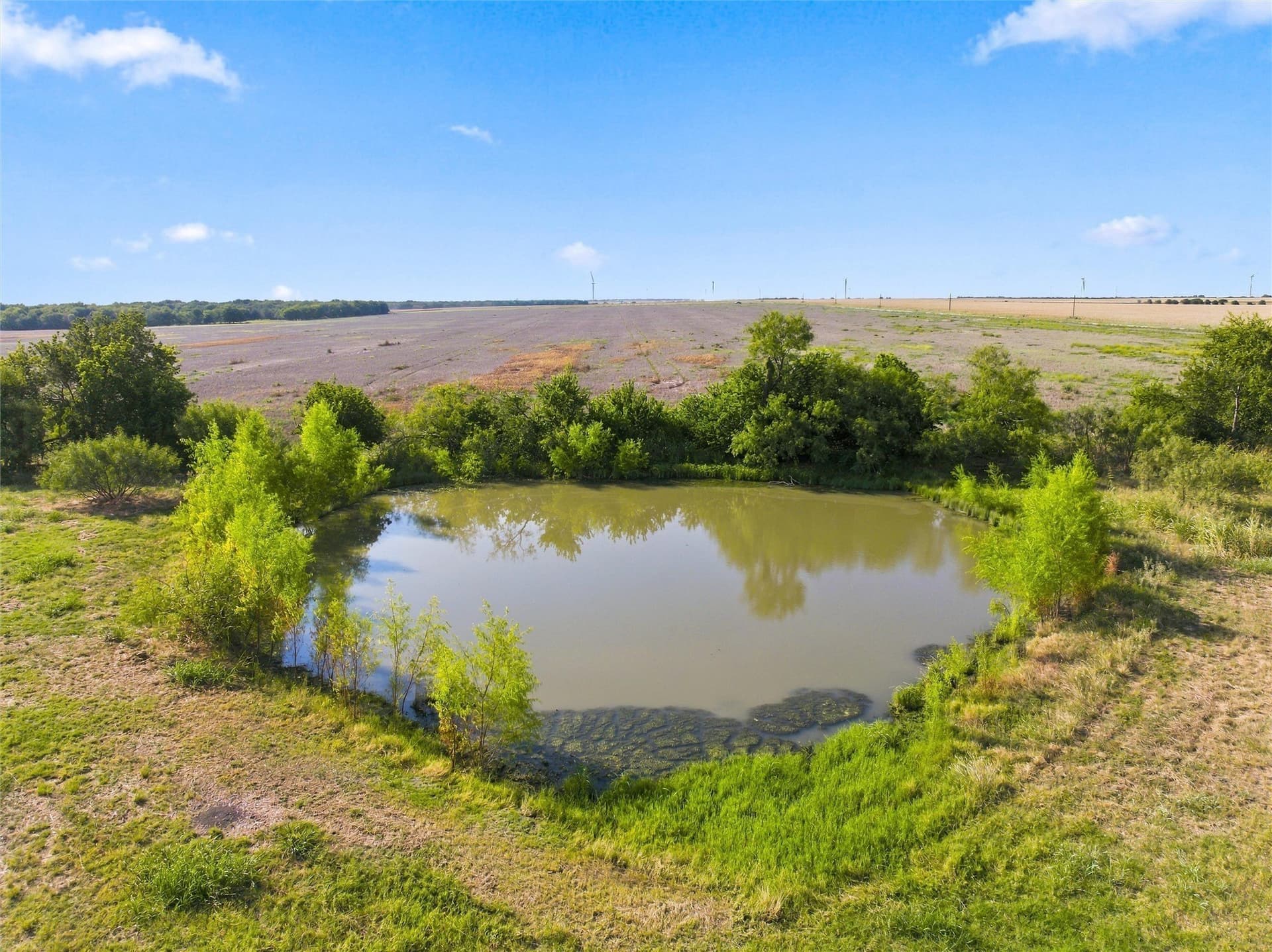 20 acres in Falls County - photo 22