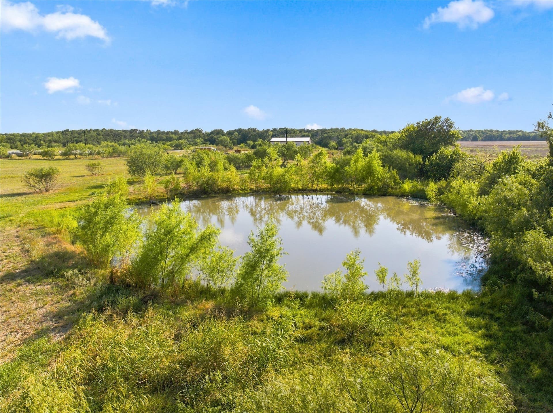 20 acres in Falls County - photo 20