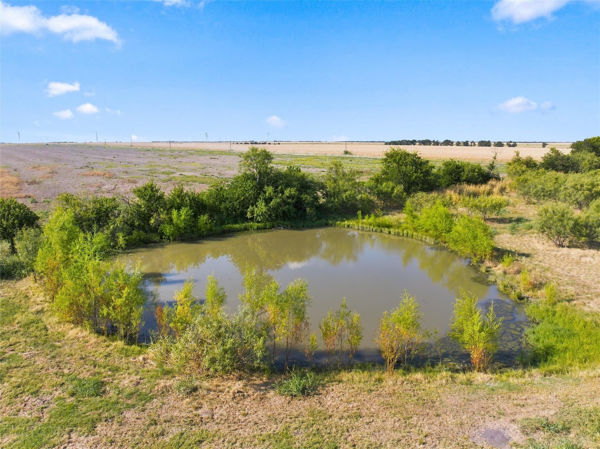 20 acres in Falls County - photo 21
