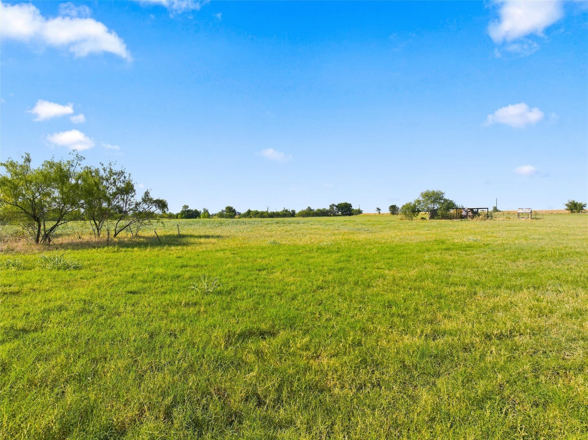 20 acres in Falls County - photo 29
