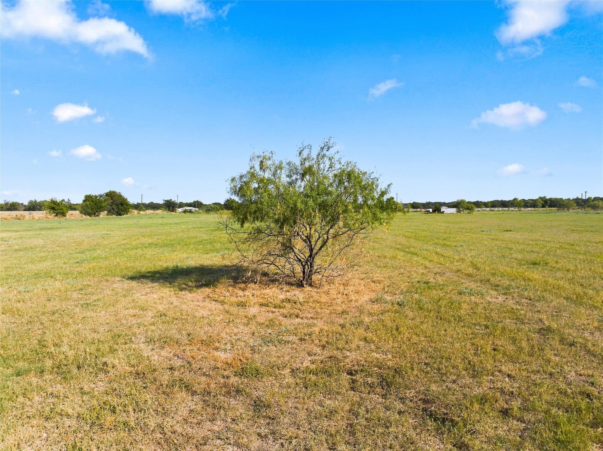 20 acres in Falls County - photo 26