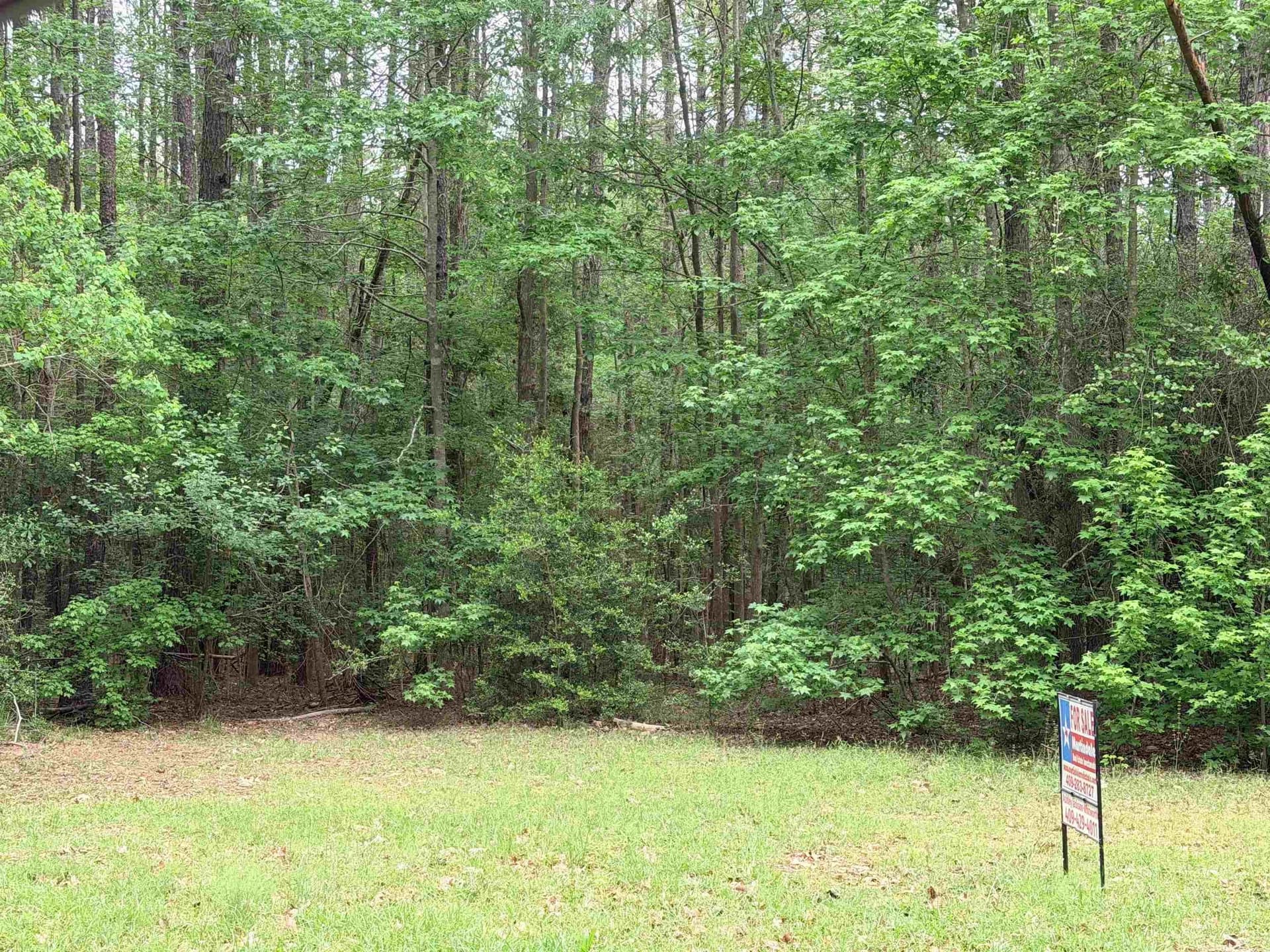 1 acres in Tyler County gallery image 3