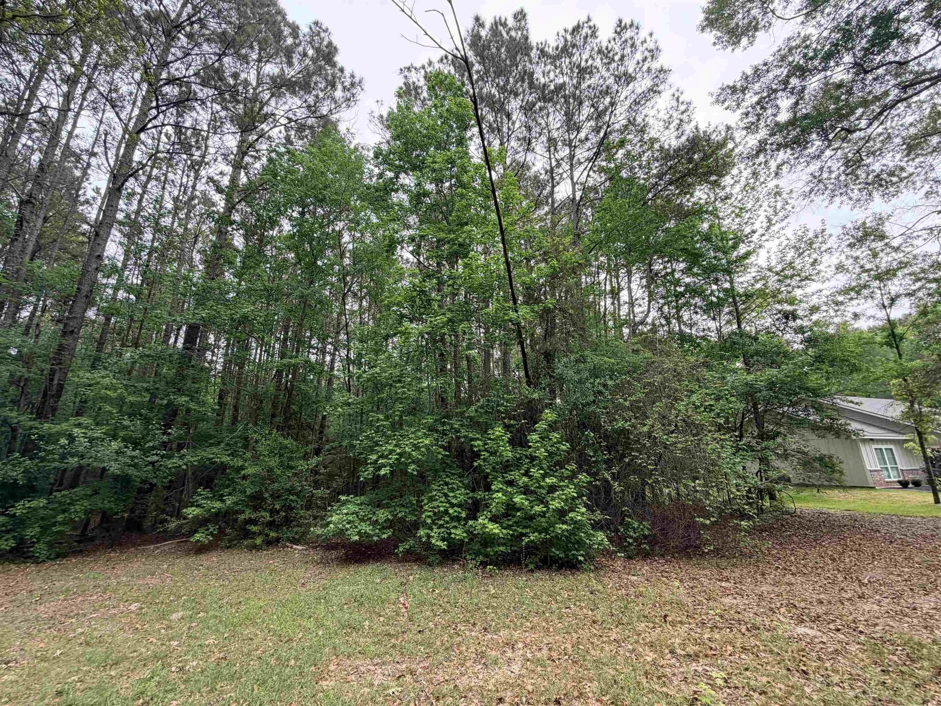 1 acres in Tyler County featured view