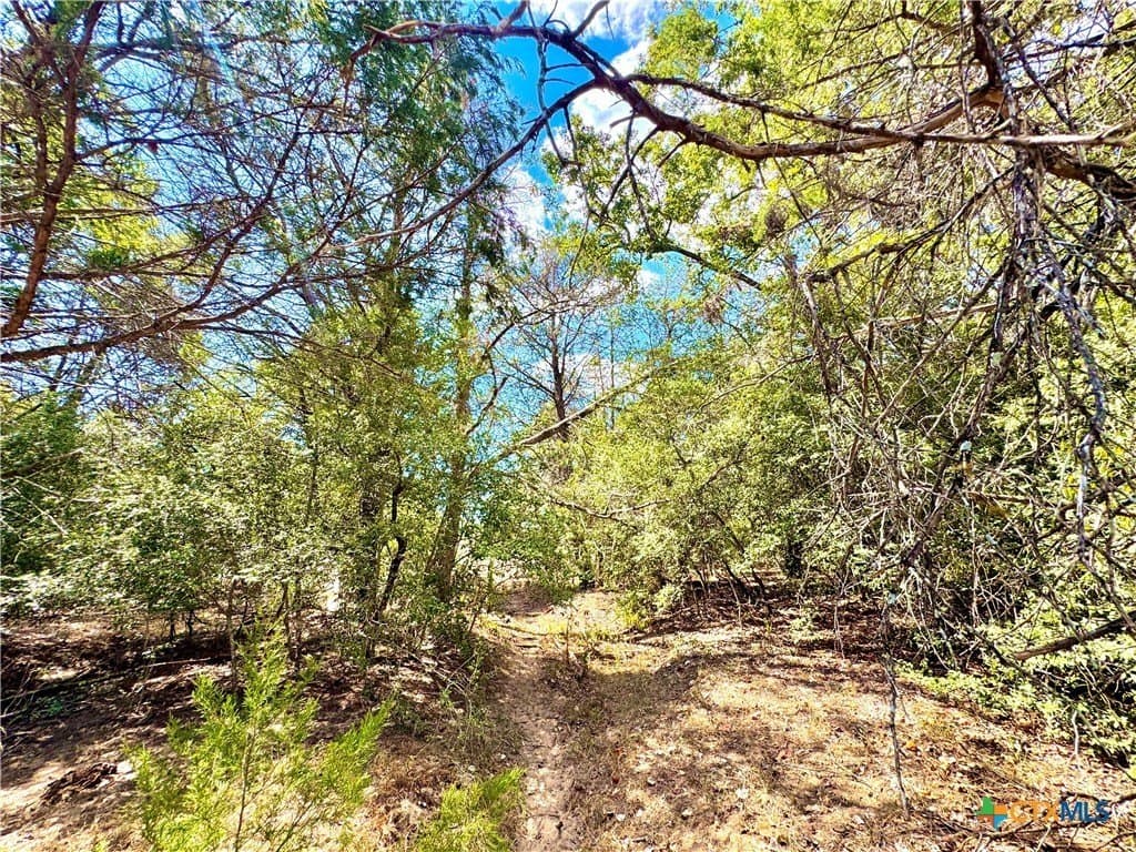50.62 acres in Bastrop County gallery image 4