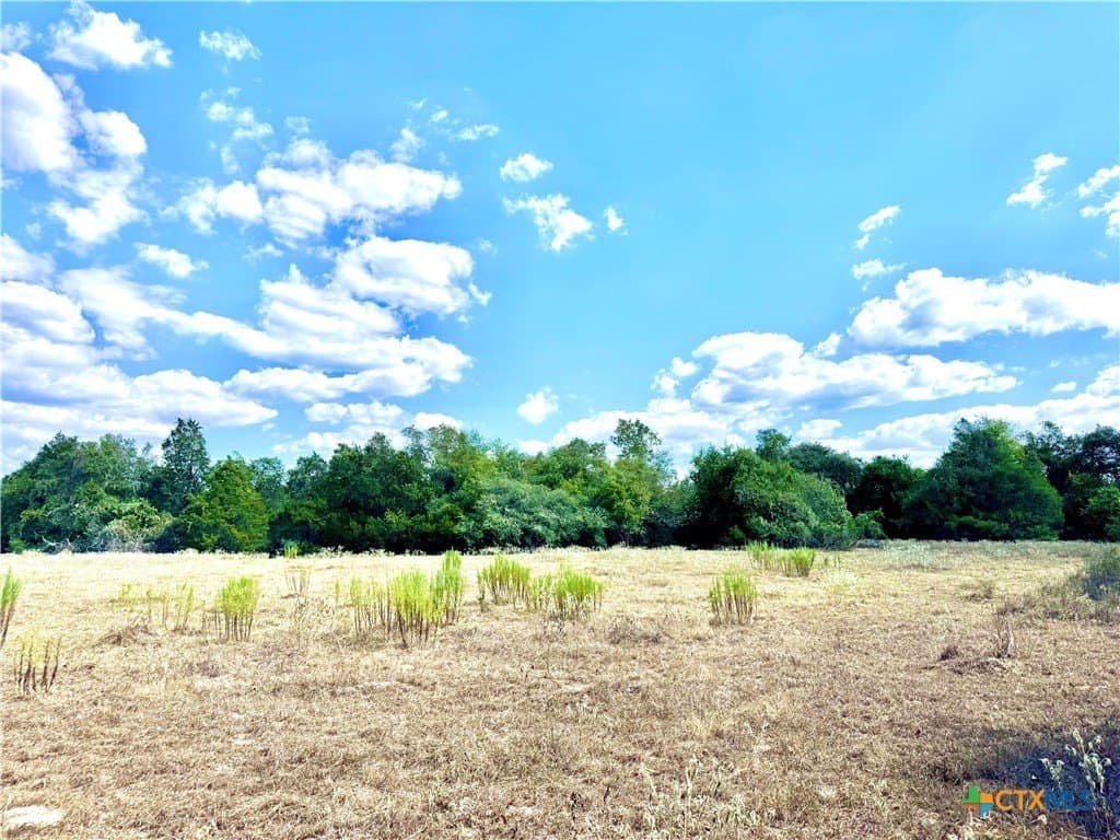 50.62 acres in Bastrop County gallery image 3