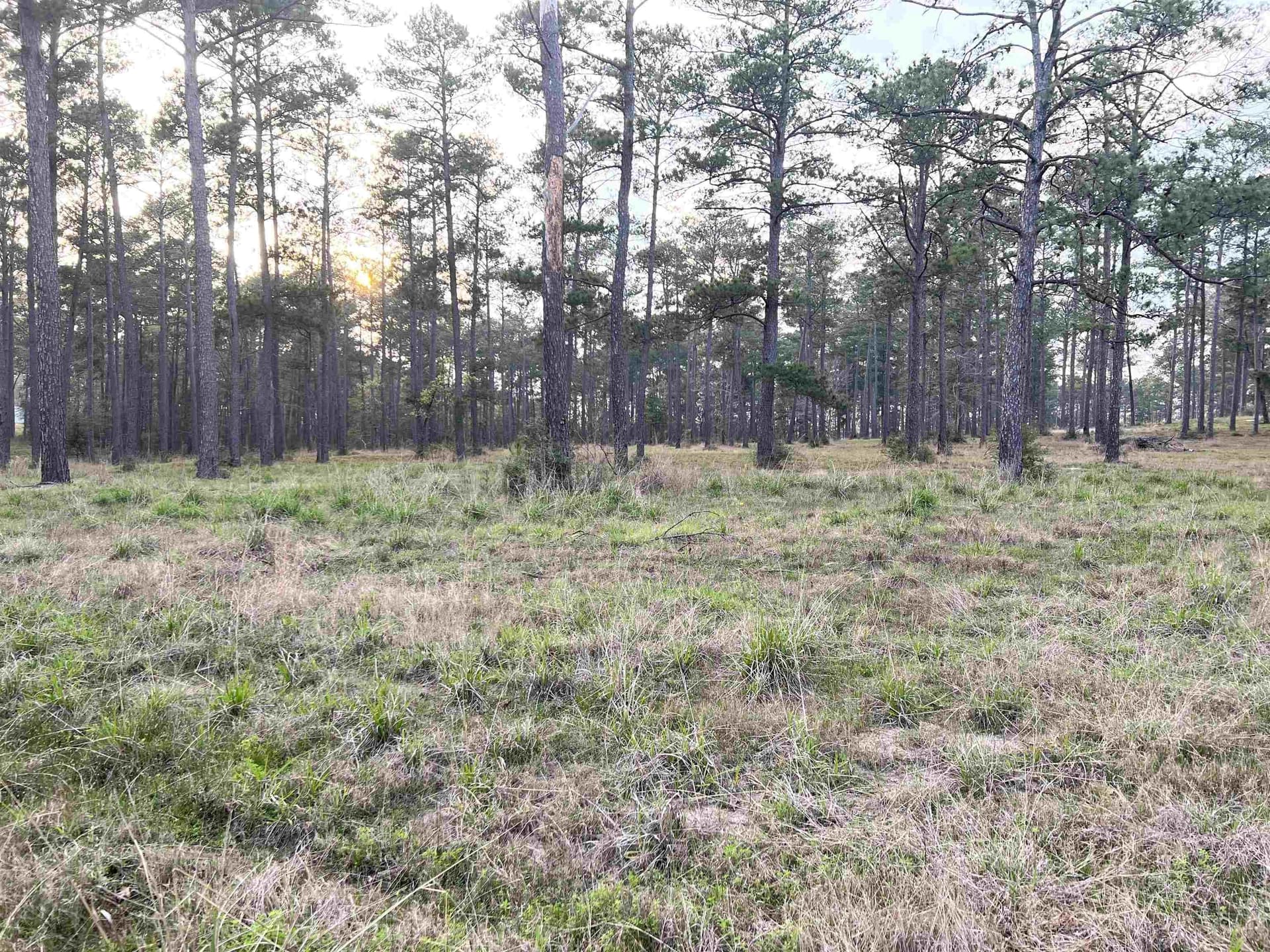 1.01 acres in Texas County