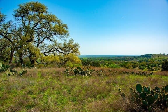 86 acres in Gillespie County - photo 52