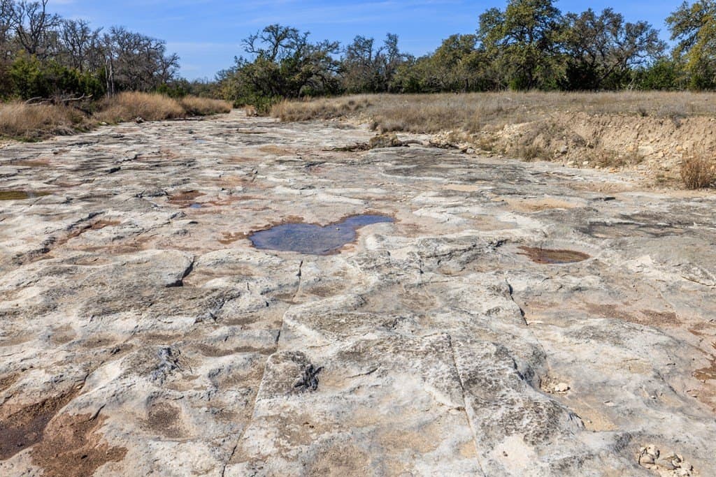 86 acres in Gillespie County - photo 12