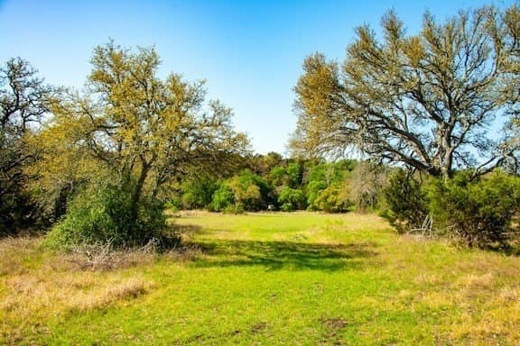 86 acres in Gillespie County - photo 45