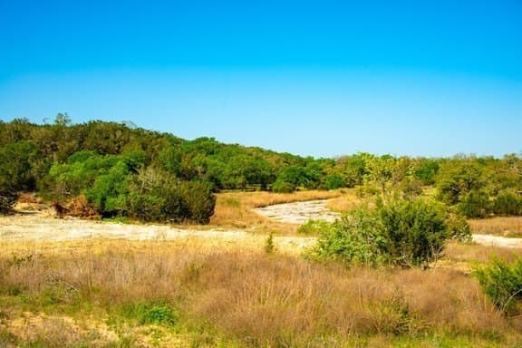 86 acres in Gillespie County - photo 33