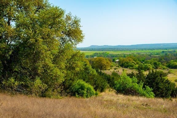 86 acres in Gillespie County - photo 41