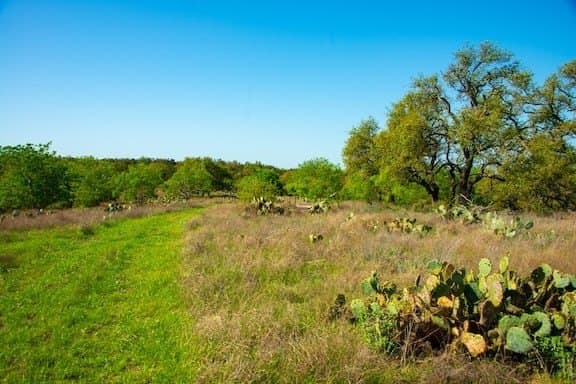 86 acres in Gillespie County - photo 42