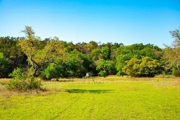 86 acres in Gillespie County - photo 28