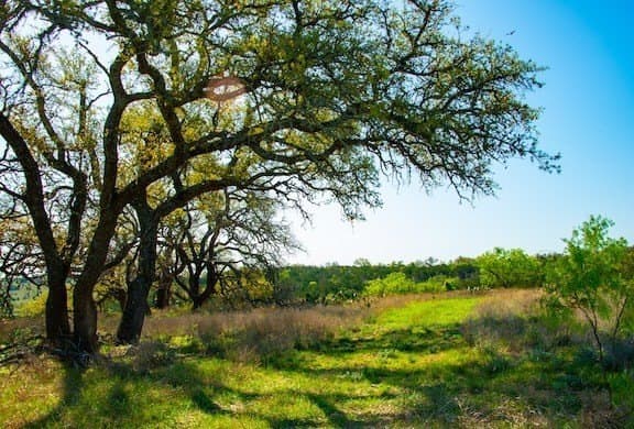 86 acres in Gillespie County - photo 34