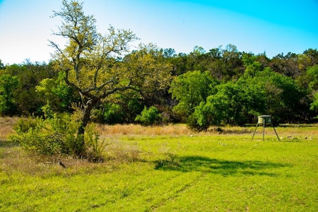 86 acres in Gillespie County - photo 27