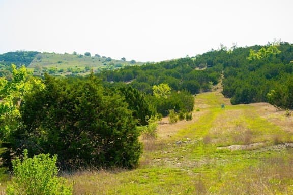 86 acres in Gillespie County - photo 35