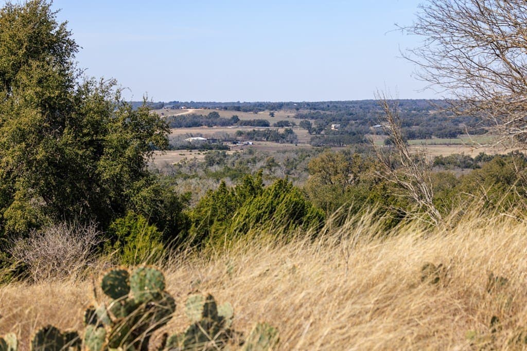 86 acres in Gillespie County - photo 2
