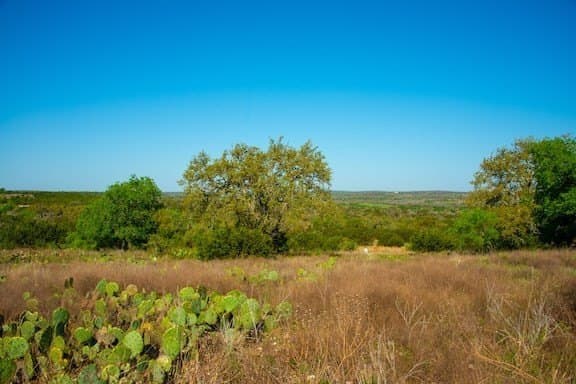86 acres in Gillespie County - photo 44
