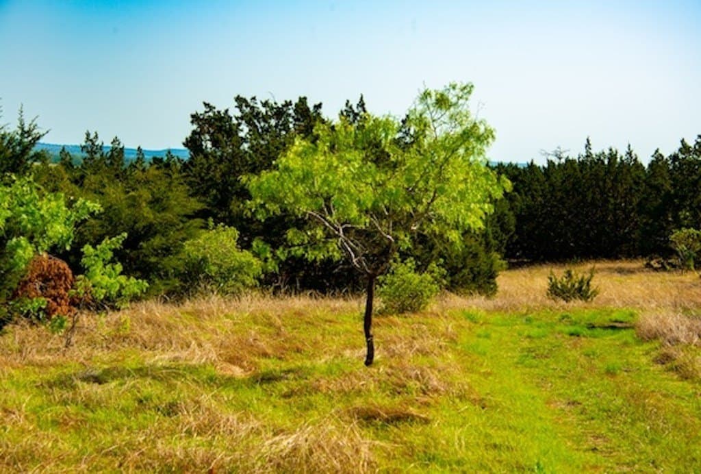 86 acres in Gillespie County - photo 40