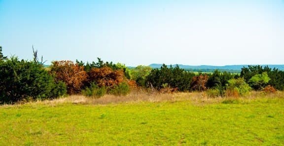 86 acres in Gillespie County - photo 39