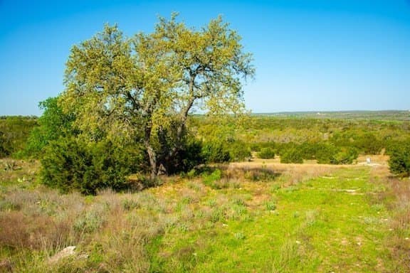 86 acres in Gillespie County - photo 51