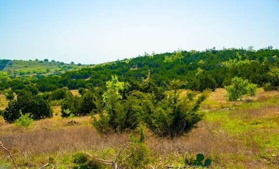 86 acres in Gillespie County - photo 46