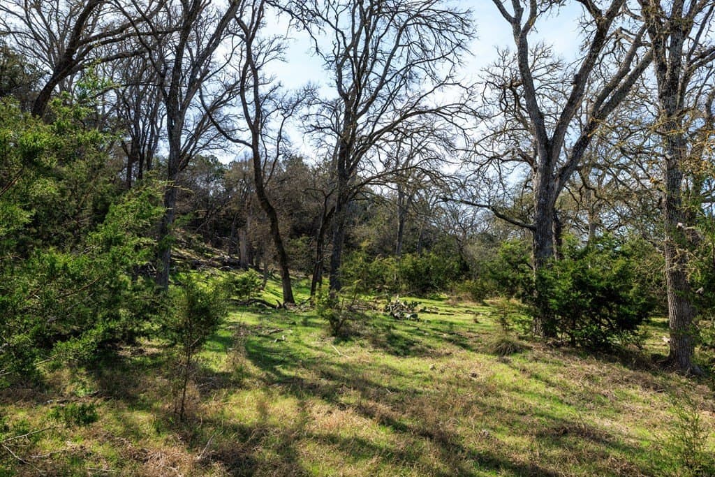 86 acres in Gillespie County - photo 16