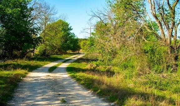 86 acres in Gillespie County - photo 24