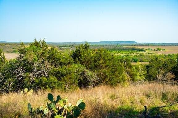 86 acres in Gillespie County - photo 30