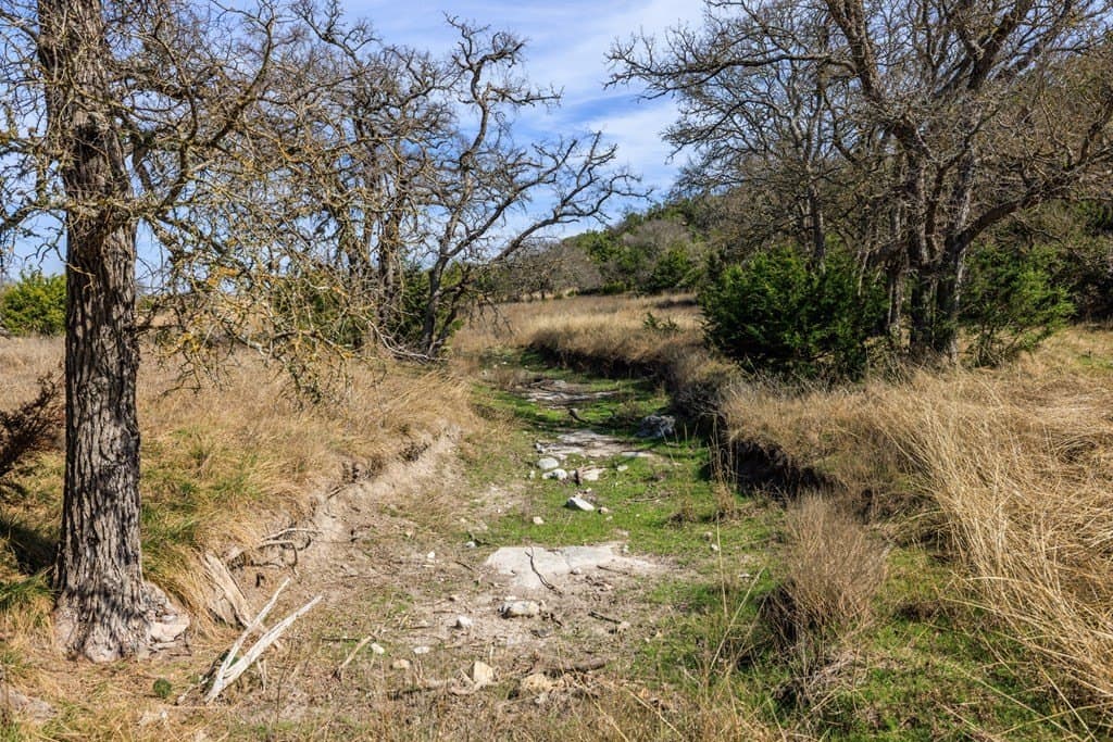86 acres in Gillespie County - photo 17