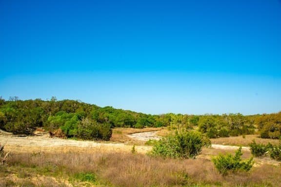 86 acres in Gillespie County - photo 36