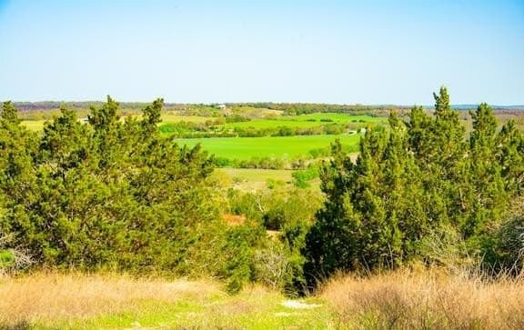 86 acres in Gillespie County - photo 26