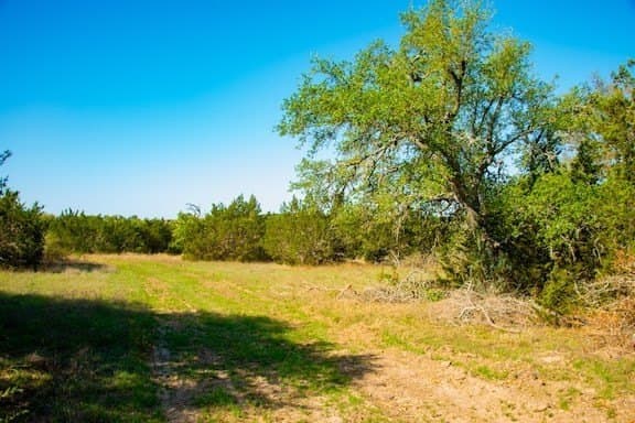 86 acres in Gillespie County - photo 53