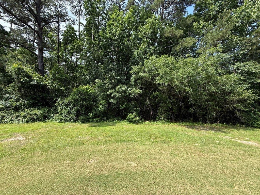 0.49 acres in Texas County gallery image 4