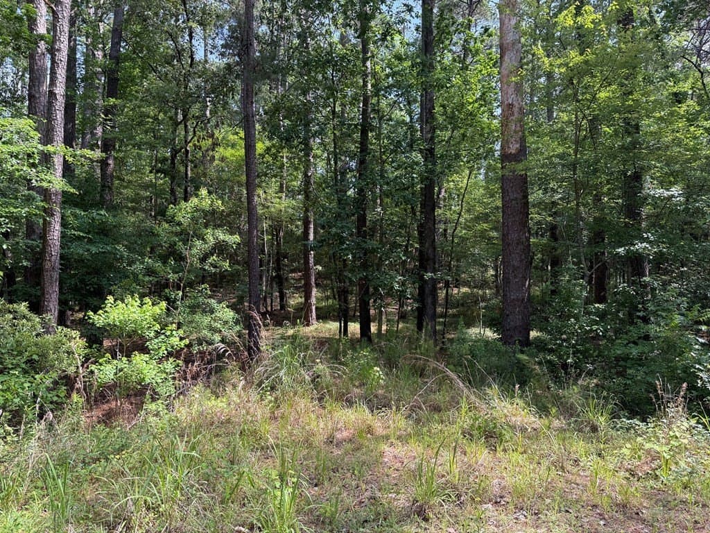 0.49 acres in Texas County featured view