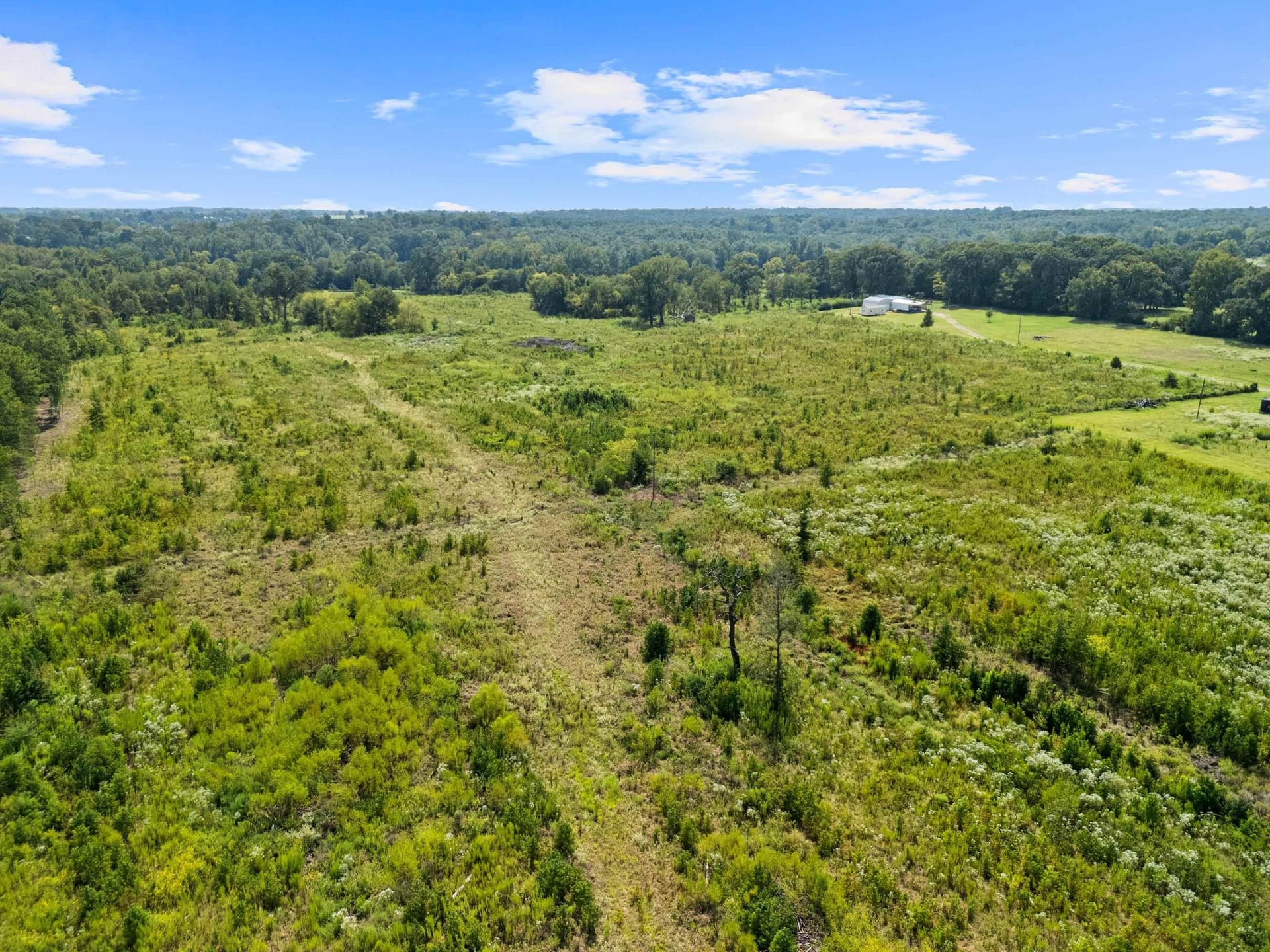 43.28 acres in Texas County gallery image 3