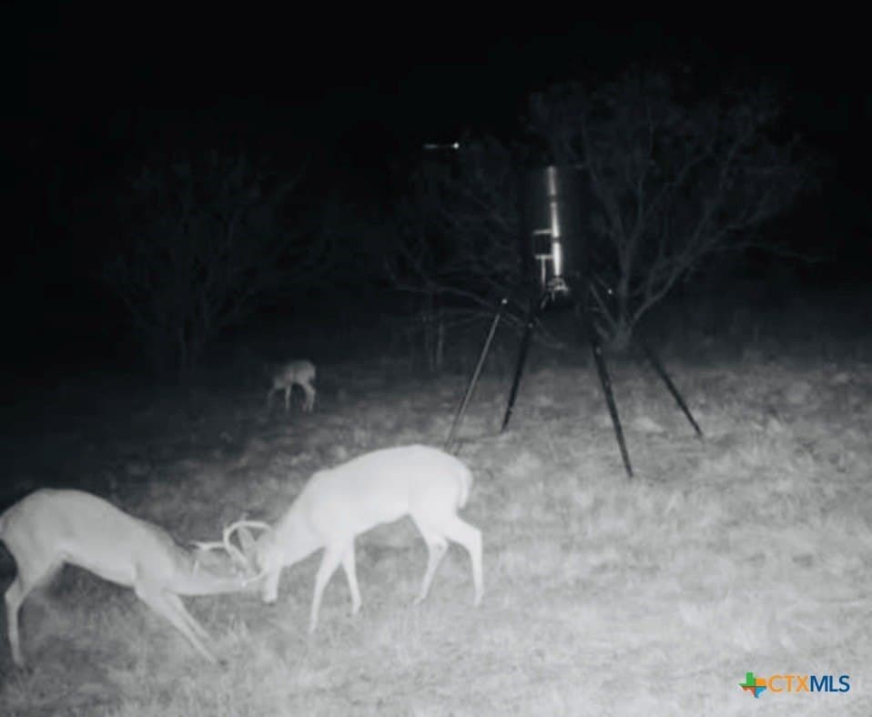26 acres in McLennan County - photo 29