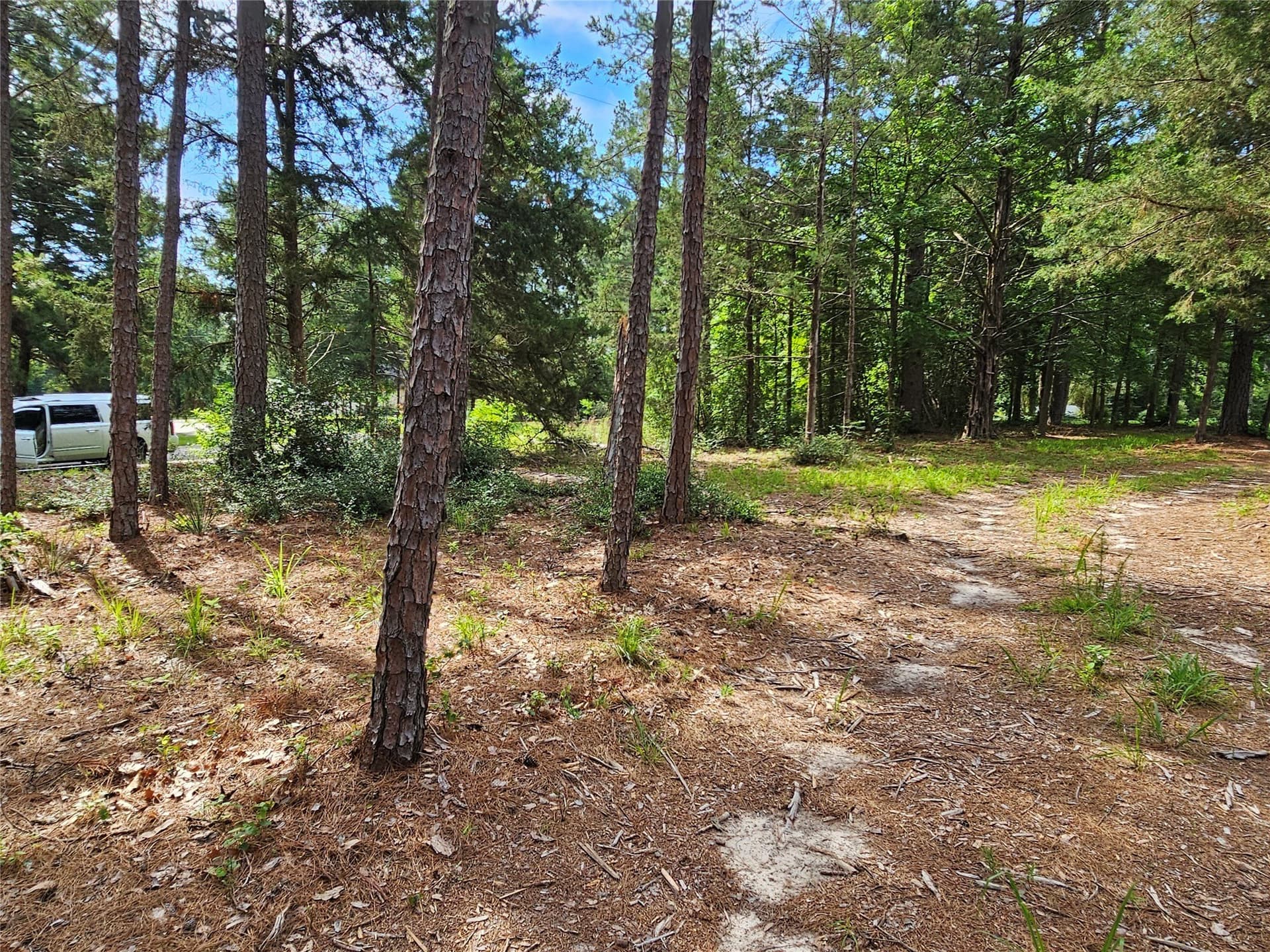 0.38 acres in Wood County - photo 9