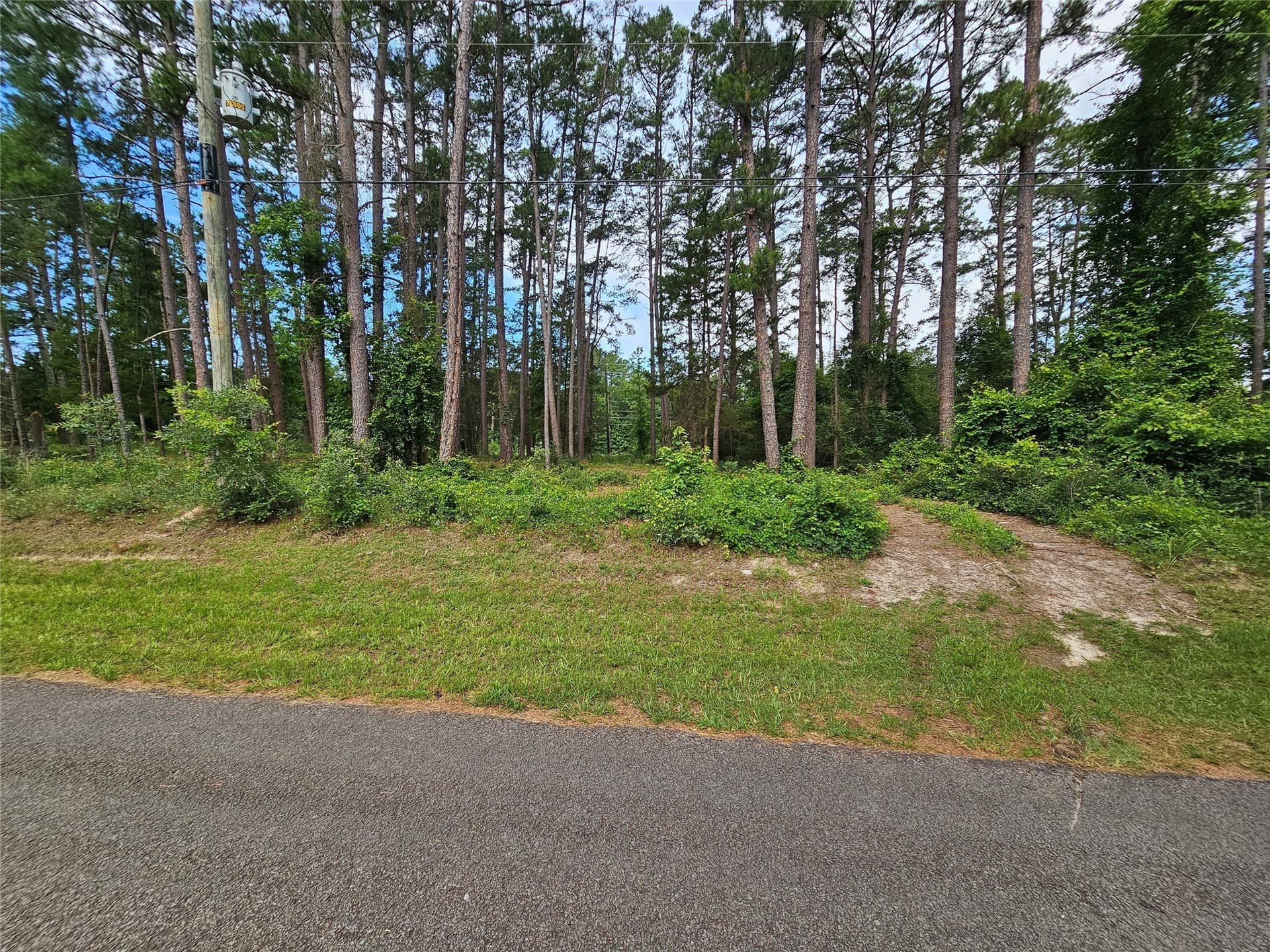 0.38 acres in Wood County - photo 15