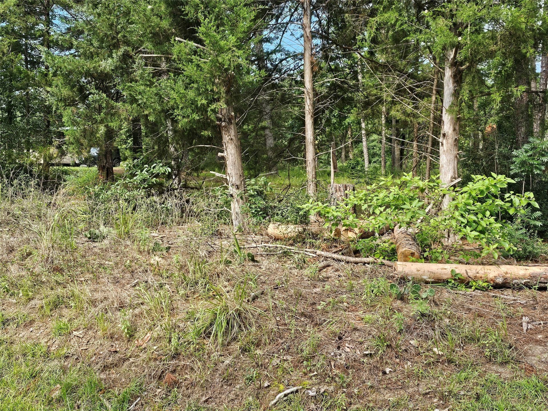 0.38 acres in Wood County - photo 3