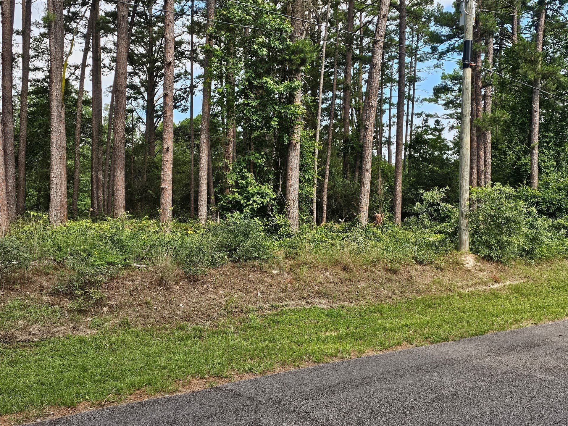 0.38 acres in Wood County - photo 4