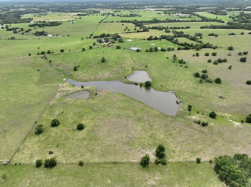 82.95 acres in Austin County - photo 10