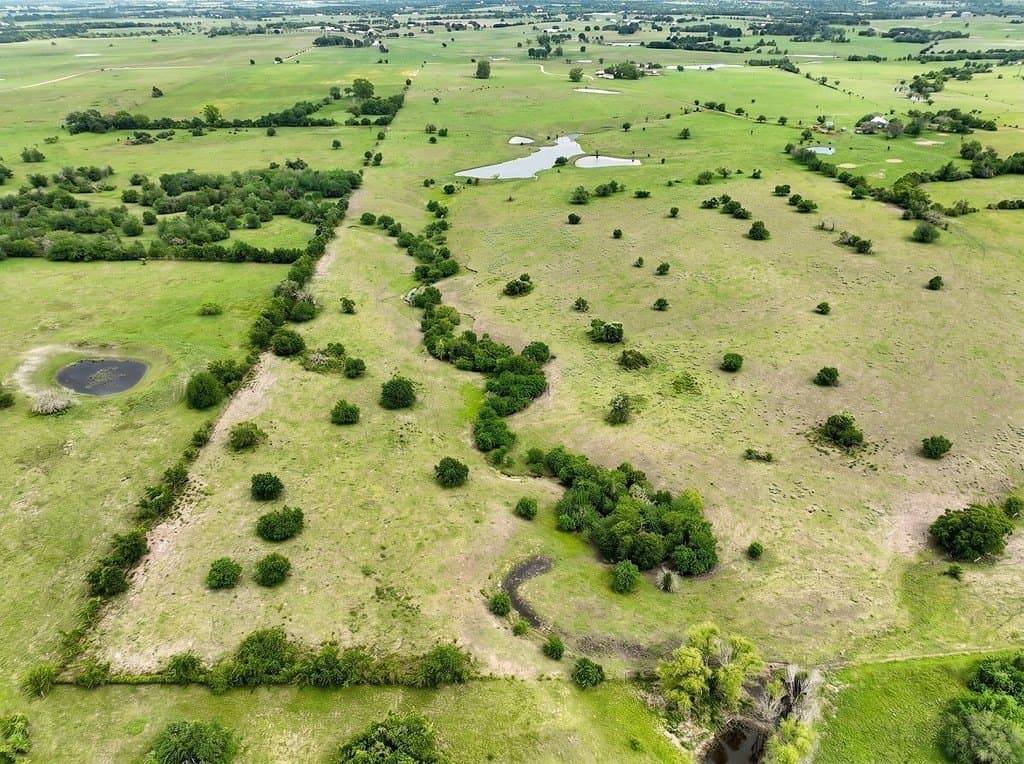 82.95 acres in Austin County - photo 7