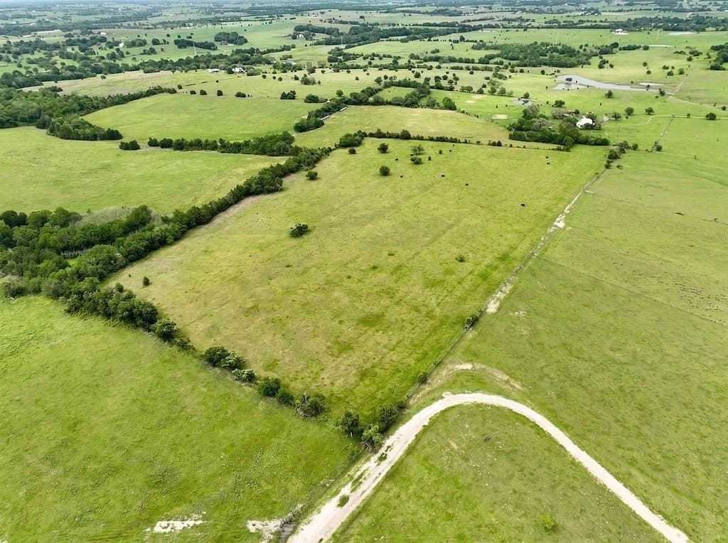 82.95 acres in Austin County - photo 6
