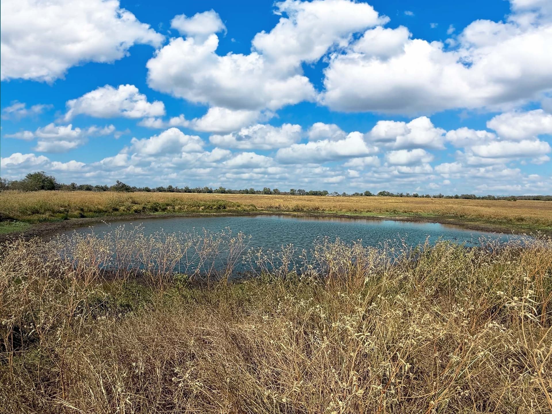 20.39 acres in Falls County